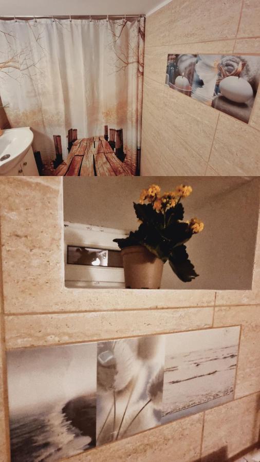 ブラショフ Roca Houseヴィラ エクステリア 写真