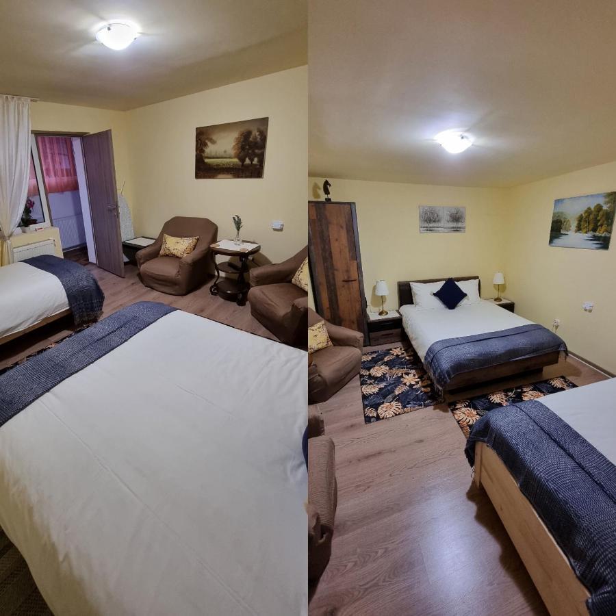 ブラショフ Roca Houseヴィラ エクステリア 写真