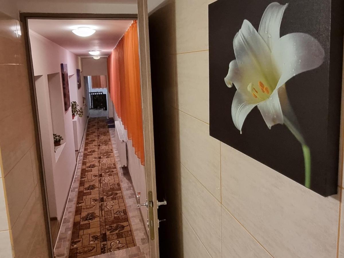 ブラショフ Roca Houseヴィラ エクステリア 写真