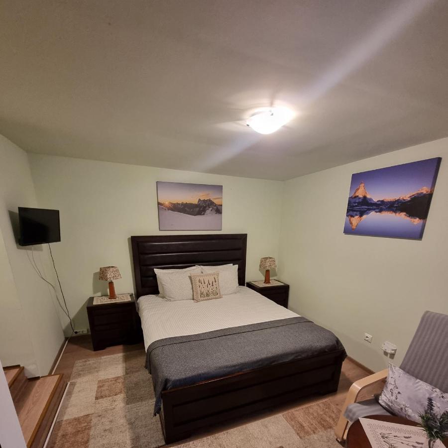 ブラショフ Roca Houseヴィラ エクステリア 写真