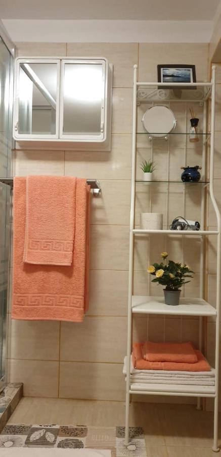 ブラショフ Roca Houseヴィラ エクステリア 写真